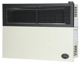 Ashley Propane Direct Vent Heater DVAG17L (17,000 Btu)