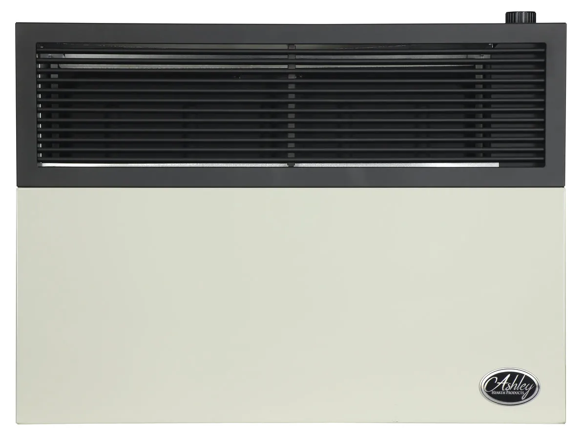 Ashley Propane Direct Vent Heater DVAG17L (17,000 Btu)